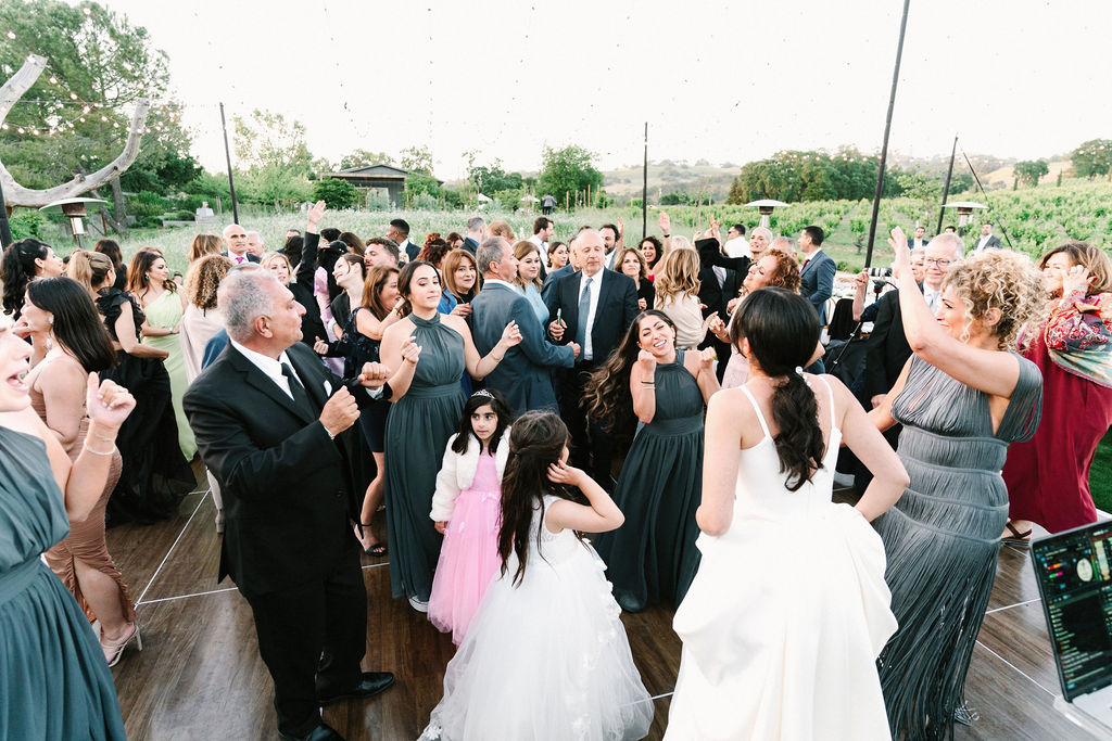 dance party photos during luxury persian wedding