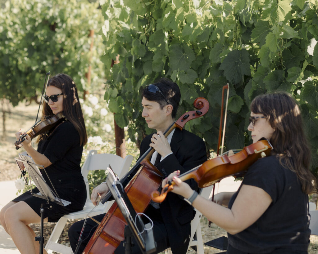 fun wedding party photos during intimate wedding day at estate yountville